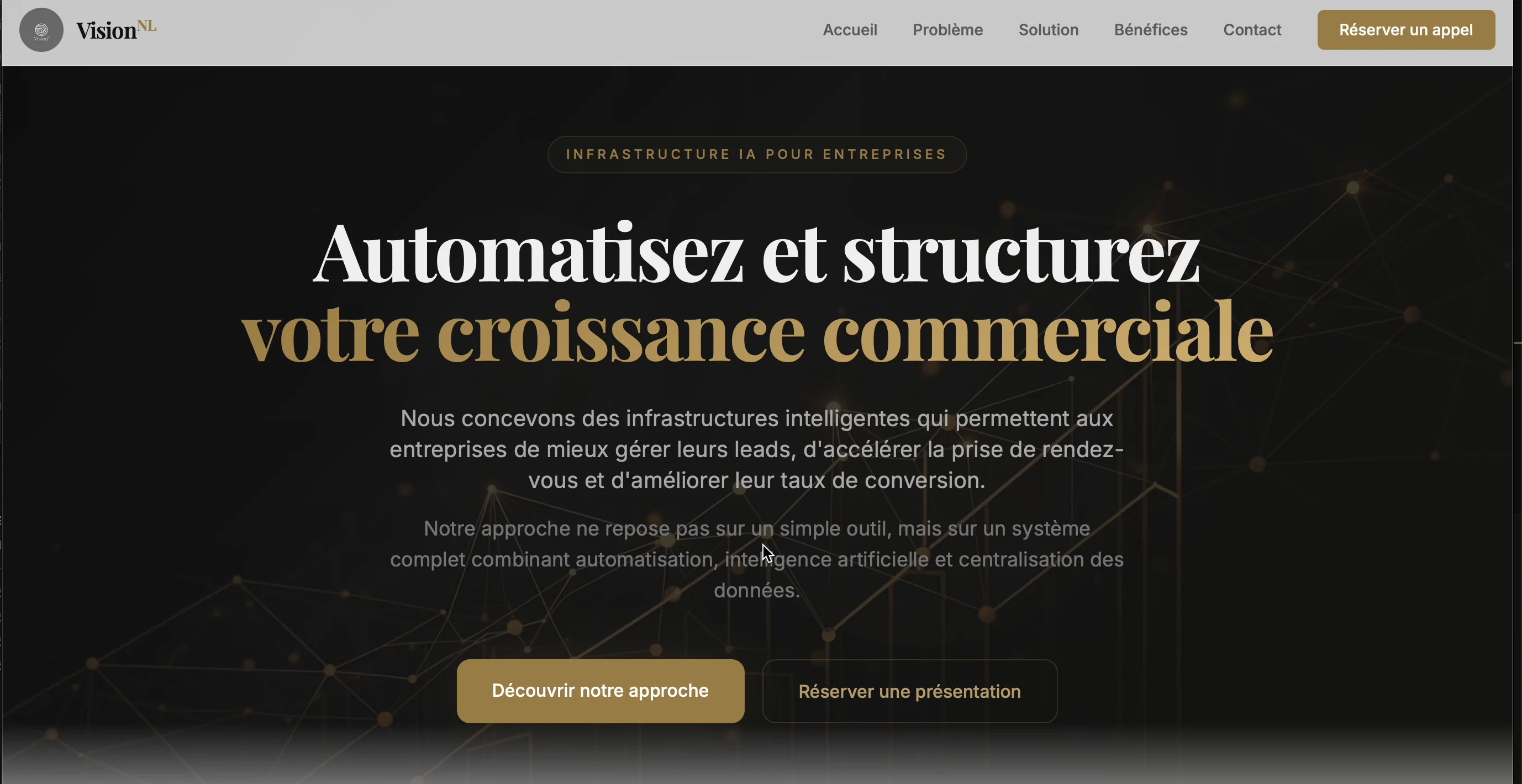 Aperçu du site réalisé pour VisionNL